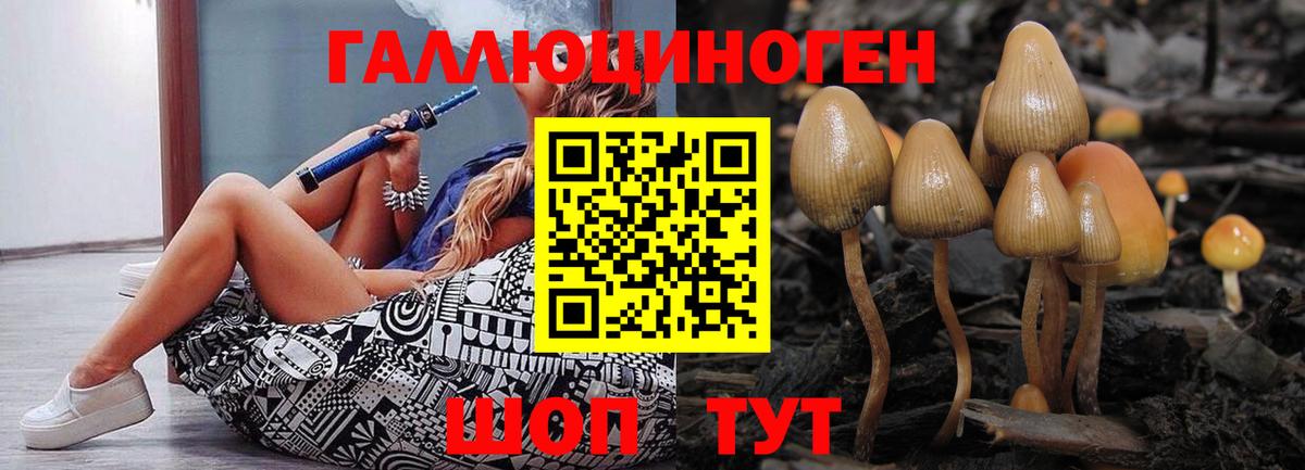 Галлюциногенные грибы Psilocybe  Вход с VPN  Екатеринбург 